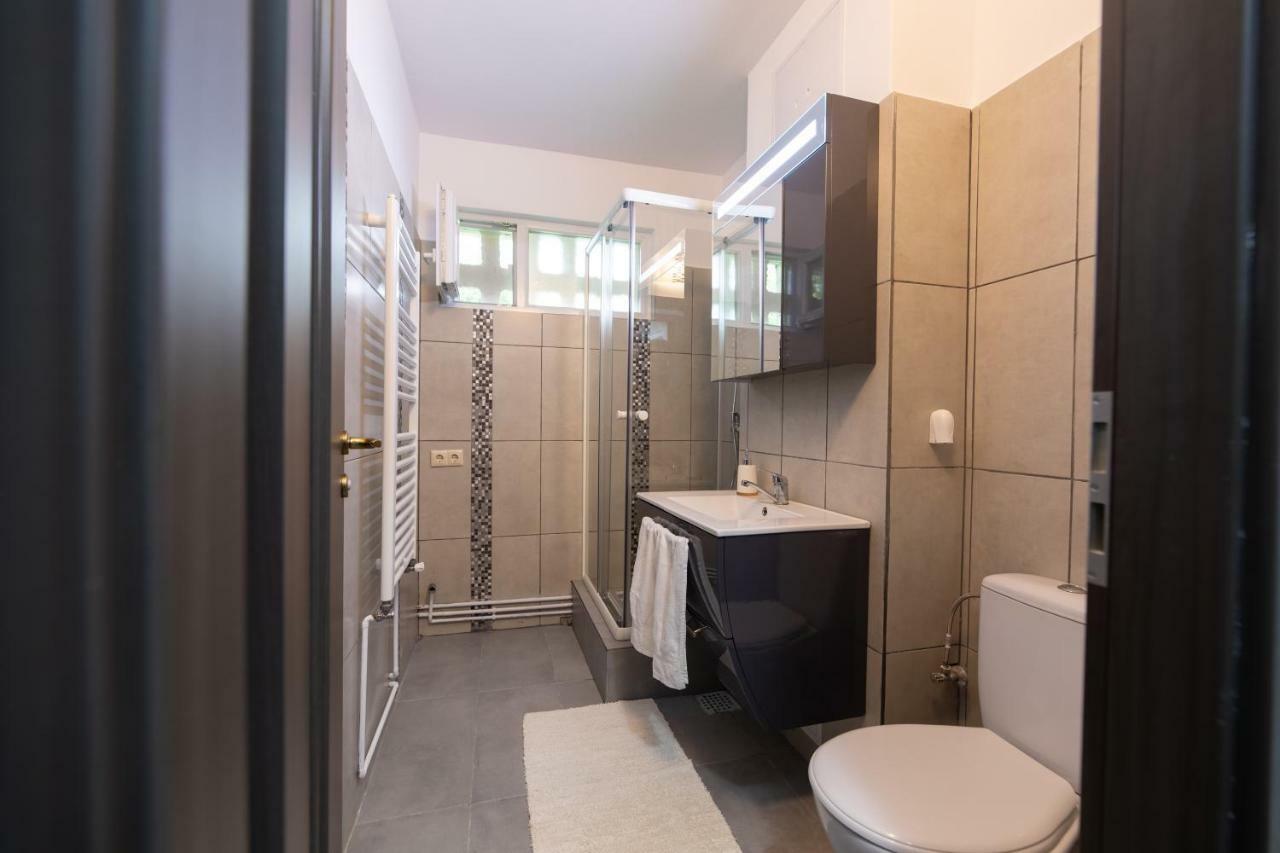 Apartament ADA Apartment Sibiu Bagian luar foto